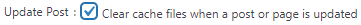 WPFastestCacheUpdatePost.PNG