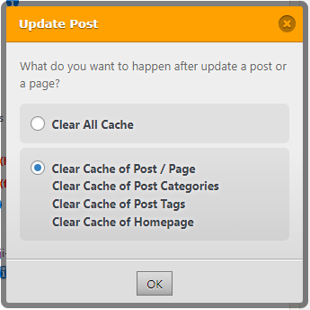 WPFastestCacheUpdatePostPopup.PNG