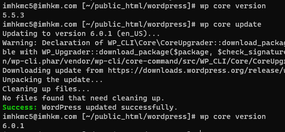 WPCoreUpdateCLI.PNG