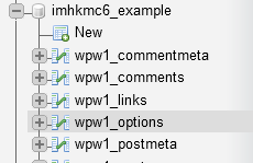 WPOptionsTable.PNG