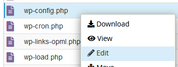 Editwpconfig.PNG