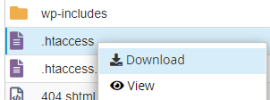 cPanelFileManagerDownloadMenu.png