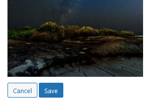 WPMediaEditSave.PNG