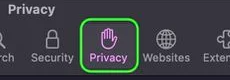 SafariPrivacyTabIcon.PNG