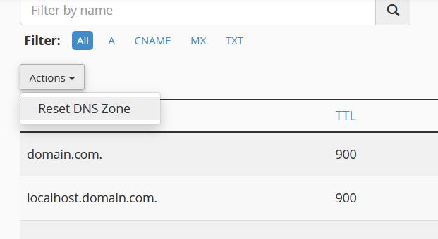 ZoneEditorResetDNSZone.png